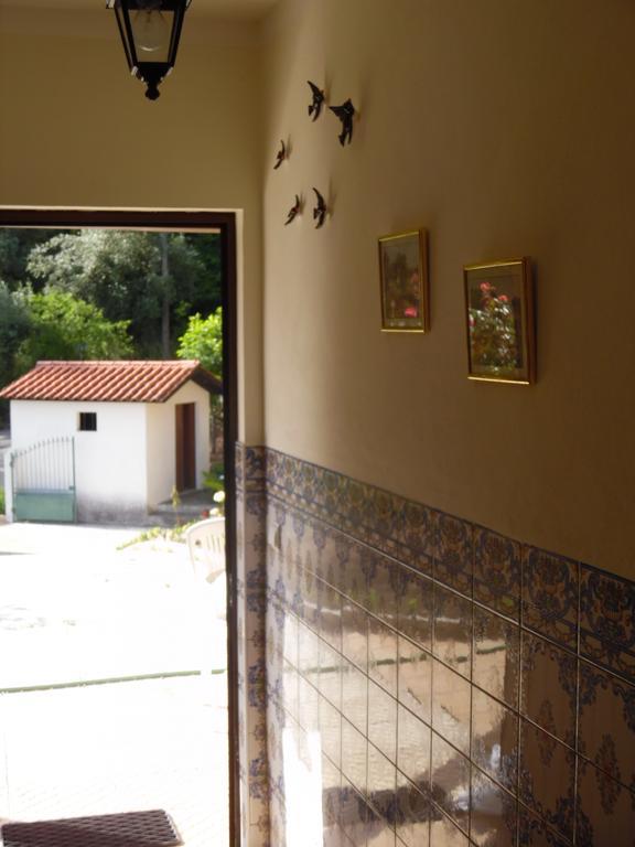 Holiday Home Mortagua Vila Boa  외부 사진